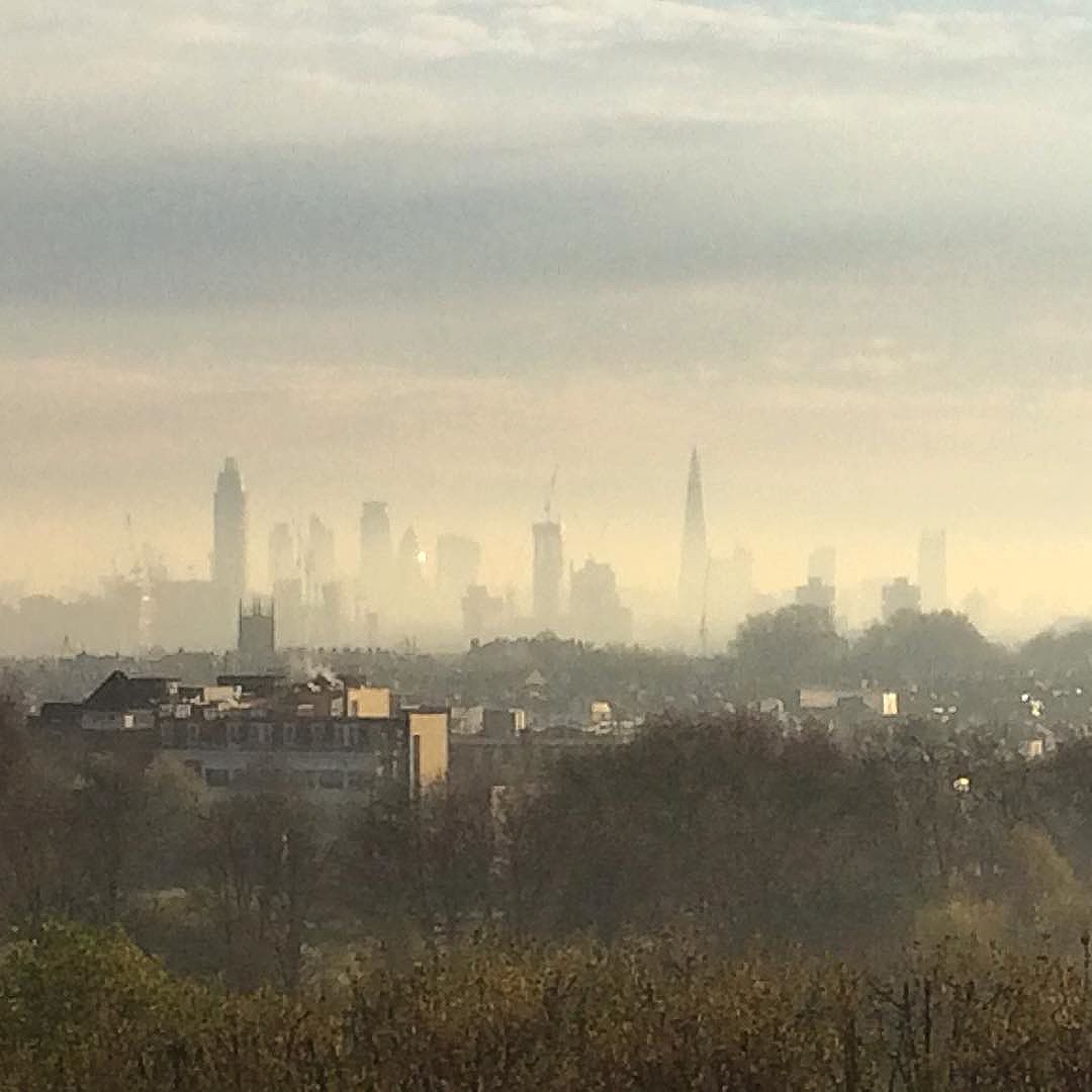 'The building is itself something in the nature of a living organism. The implications are far reaching - planning for air, sun and view'. The Flat Book, J L Martin & Sadie Speight 1939. This mornings view  from the 8th floor, 2016.